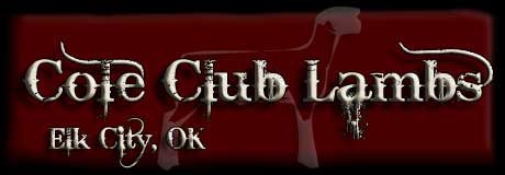 Cole Club Lambs
